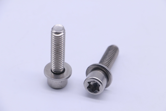 Silindirik Kafa Paslanmaz Çelik Vidalı Erik Çiçeği Hırsızlığa Karşı SS316 3/8-24X1"