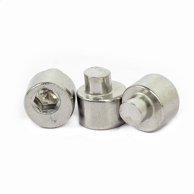 304 SS Hexagon Eksantrik Tırnak Rivet Özelleştirmeyi Destekler