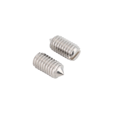 Custom Slotted Tip Makine Meter vidaları Standart olmayan Makine Meter vidaları