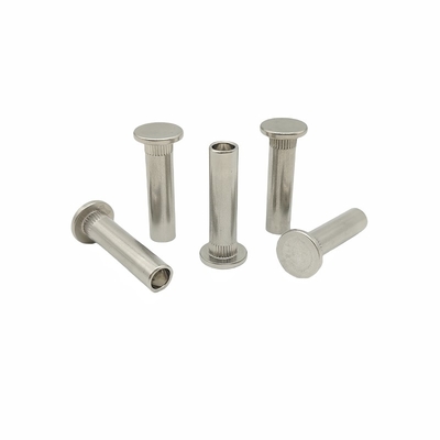 Tuz püskürtüme dayanıklı paslanmaz çelik düz başlı yarı boş rivets paslanmaz çelik tırnaklı rivets basınç rivets