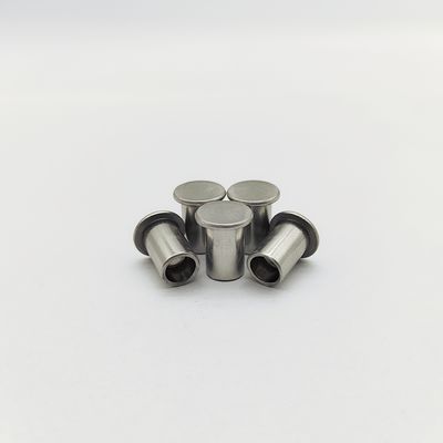 316L Paslanmaz Çelik Yassı Başlı Yarı Boru Perçinler ISO 15977