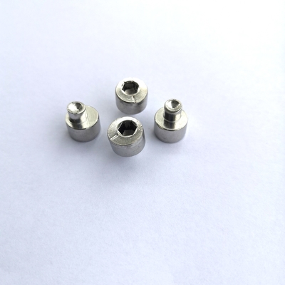 SS304 Eksantrik Ayar Vidası Arka Aks M4x10 Parlak Metal Kompozisyon