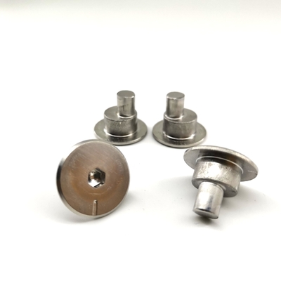 Hassas Makine Paslanmaz Çelik Eksantrik Ayar Vidası 1.3mm Eksantriklik
