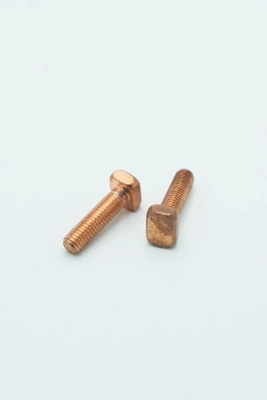 İletken Standart Olmayan Bağlantı Elemanı, Golf Arabası için M8x30mm T Şekli Vida