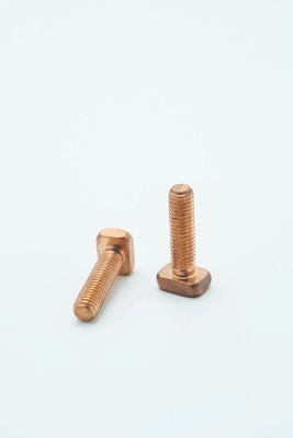 İletken Standart Olmayan Bağlantı Elemanı, Golf Arabası için M8x30mm T Şekli Vida